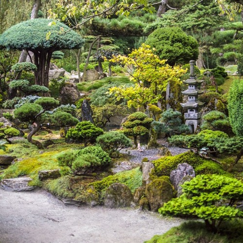 Japanese Garden (2024)