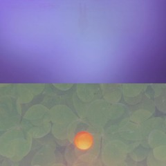 clover - kamauu