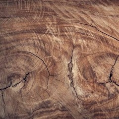 JUNTSIDE (Jickhead & Dj Woodgrain) - Wit The Muscle