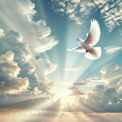Here I AM Version 2 | Desiderium et Selah | Hallelujah