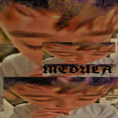 MEDULA
