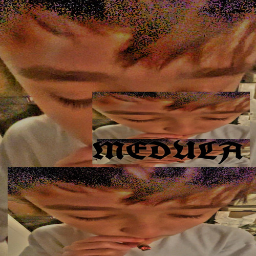 MEDULA