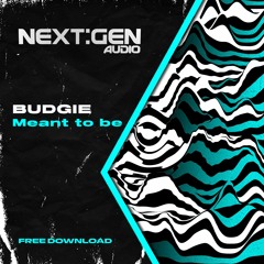BUDGIE - MEANT TO BE (Free Download) [013]