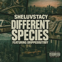Different Species (ft. @drippedoutbby)