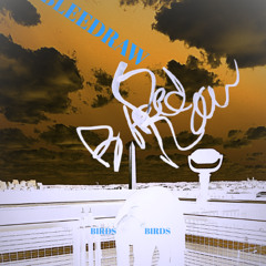 Sara's Song