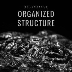 SECONDFACE - Organized Structure #2