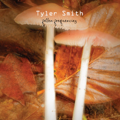 Tyler Smith - Fallen frequencies
