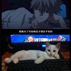 valentine w/ vino (zxrtyzz)