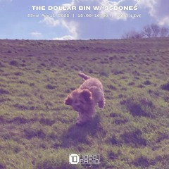 'The Dollar Bin' w/95Bones - 1020 Radio 22nd April 2022