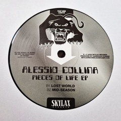 B1. Alessio Collina - Lost World (Original Mix)
