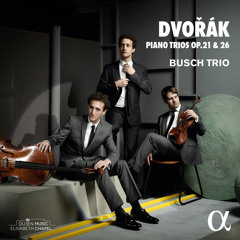 Piano Trio No. 2 in G Minor, Op. 26: IV. Finale. Allegro non tanto
