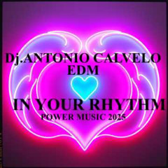 IN YOUR RHYTHM (radio edit)