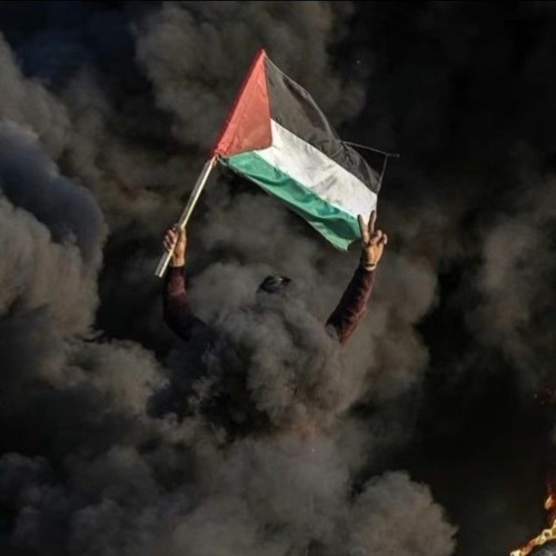 Miklo - WE STAND WITH GAZA