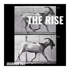 The RISE