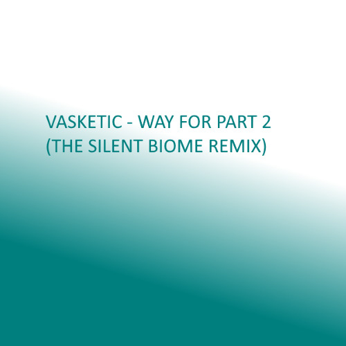 Vasketic - Way For Part 2(The Silent Biome Remix)
