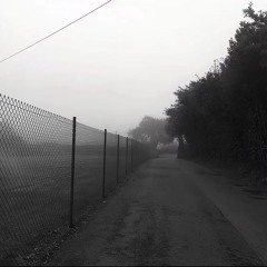 𝑏𝑒𝑎𝑢𝑡𝑖𝑓𝑢𝑙 𝑎𝑛𝑔𝑒𝑙, 𝑝𝑢𝑙𝑙𝑒𝑑 𝑎𝑝𝑎𝑟𝑡 𝑎𝑡 𝑏𝑖𝑟𝑡ℎ. .