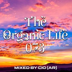 Organic House DJ Sets