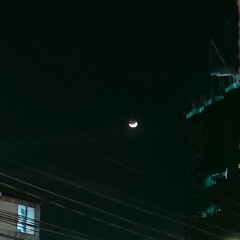 Rex Orange County - THE SHADE