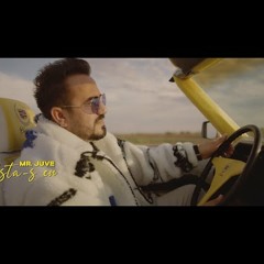 Mr. Juve - Asta-s eu