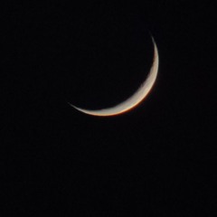 Scimmiaska Full Album 2018 SkaIndonesia