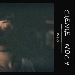 Cienie nocy