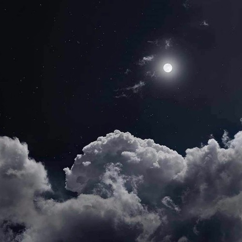 إن مسنا الضر
