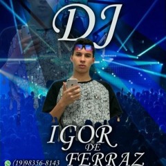 VUK VUK AGRESSIVO 2 - DJ IGOR FERRAZ