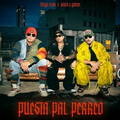 Ñengo Flow, Wisin & Yandel - Puesta Pal' Perreo (Dimelo Isi Extended) [FREE DOWNLOAD]
