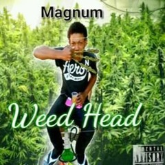 Magnum_-_Weed Head(Official Audio)2020