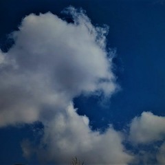 Mr Nobody, Pierre Van Dormael - Cercles