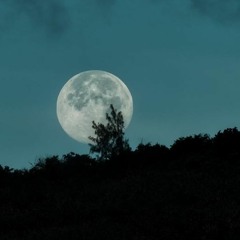Moonlight(polarrana)