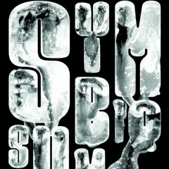 SYMBIOSIUM_Audioguide : Fabien Léaustic - Cosmos doesn't care