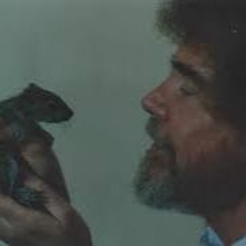 Have Some Fun (feat. Bob Ross)