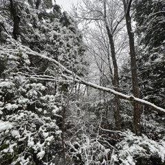 weak heart (prod.Omamurin)