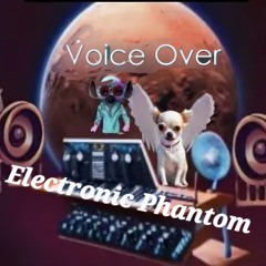 Electronic Phantom
