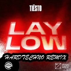Lay Low (DTS Hardtechno Remix)