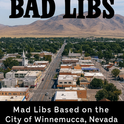 Winnemucca Bad Libs: Story#1 You Lost Your Turn #3a