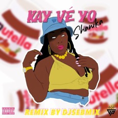 SHANIKA KAY VE YO VS DAMOGUEEZ REMIX DJSEBMIX