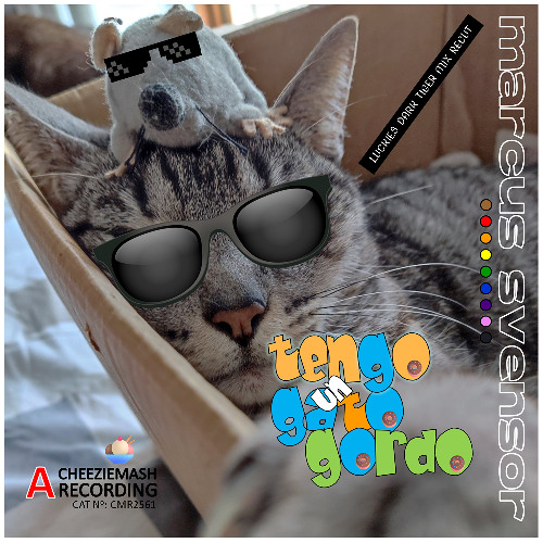 Tengo Un Gato Gordo [Luckies Dark Tiger Mix RECUT]