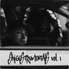 SHIGGSTRUMENTALS VOL. I (Compilation)