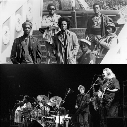 Stream Stop That Train The Wailers/ Jerry Garcia Band Kaminanda