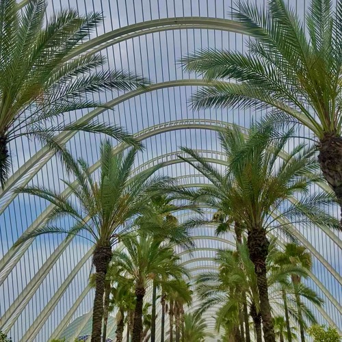 Taking Shotz (Prod. Fsm.Manny)