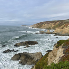 flight home from california