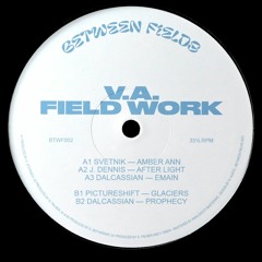 V.A. - Field Work (BTWF002) - Clips