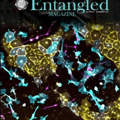 Download❤️Book⚡️ Entangled Magazine Your Unique Source For Leading-Edge Insights Into The Hi