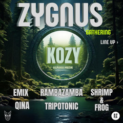 Zygnus Gathering 2024 - 2hr Melodic Techno Mix