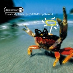 Breathe (DJ PlaKtrop Remix) (B-SIDE)