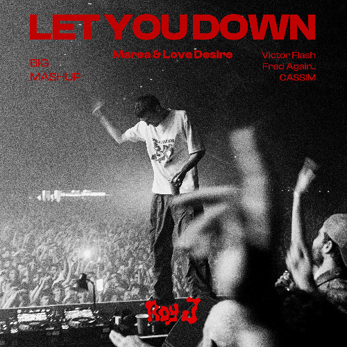 Fred Again.., Cassim, Victor Flash - Marea ("Let You Down" Roy J Edit)