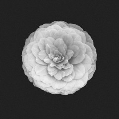 Florescence // Future Garage Mix