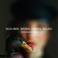 Diana Orion @ Sisyphos Dampfer - Duck side of the moon 08.11.2025